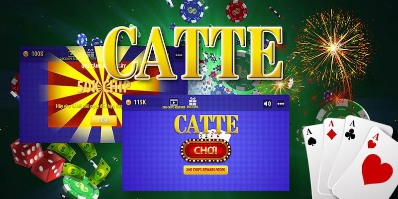 Các thông tin cơ bản về catte Hitclub